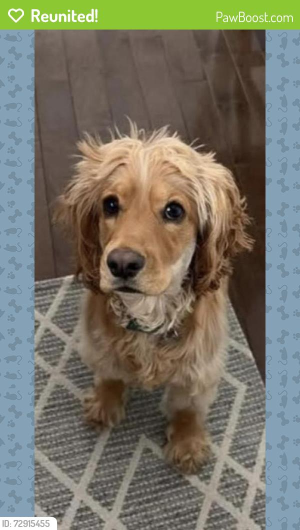 Reunited Male Dog last seen Reservior Rd, West Chester, PA 19380