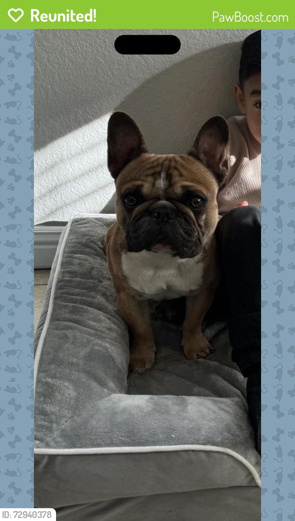 Reunited Male Dog last seen Near Euclid St, Adelanto, CA 92301, USA, Adelanto, CA 92301
