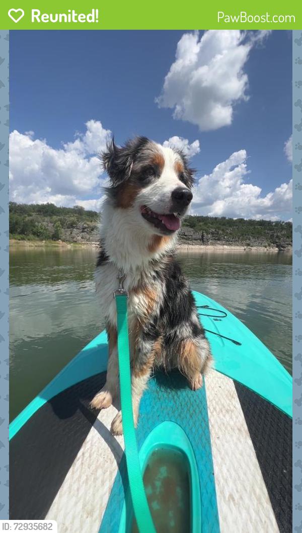 Reunited Male Dog last seen Near County Road 3598, Boyd, TX 76023, USA, Boyd, TX 76023