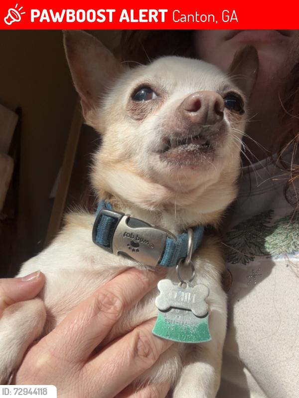 Lost Male Dog last seen Great Sky neighborhood , Canton, GA 30114