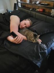 Lost Male Cat last seen Ron Rd, New Braunfels, TX 78132