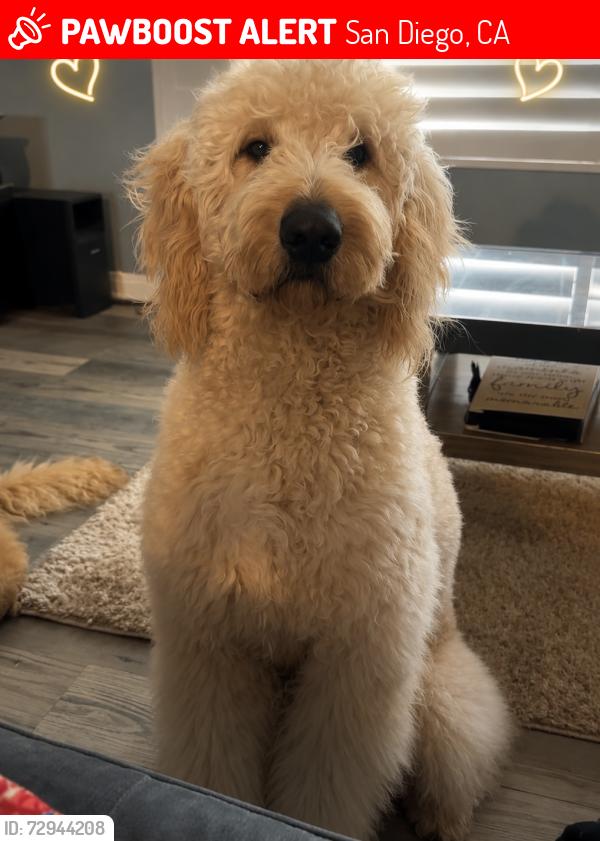 Lost Male Dog last seen Near via tonga , San Diego, CA 92154