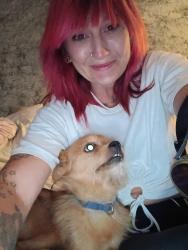 Reunited Unknown Dog last seen Charleston and Bruce, Las Vegas, NV 89104