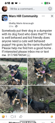 Found/Stray Male Dog last seen Rockville road Tibbs, Indianapolis, IN 46241