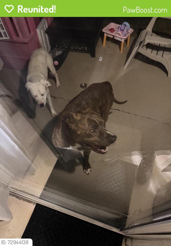 Reunited Unknown Dog last seen Near quay st , Evans, CO 80620
