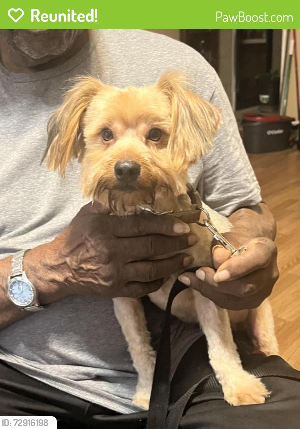 Reunited Male Dog last seen Heritage Pkwy, Fort Worth, TX 76131