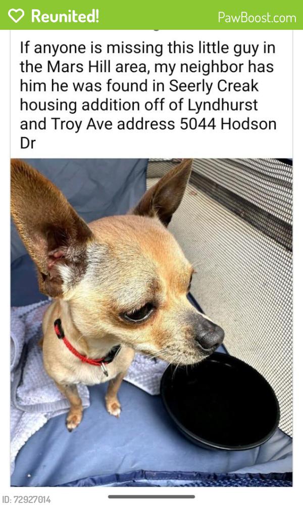 Reunited Male Dog last seen Troy & Lynhurst , Indianapolis, IN 46241