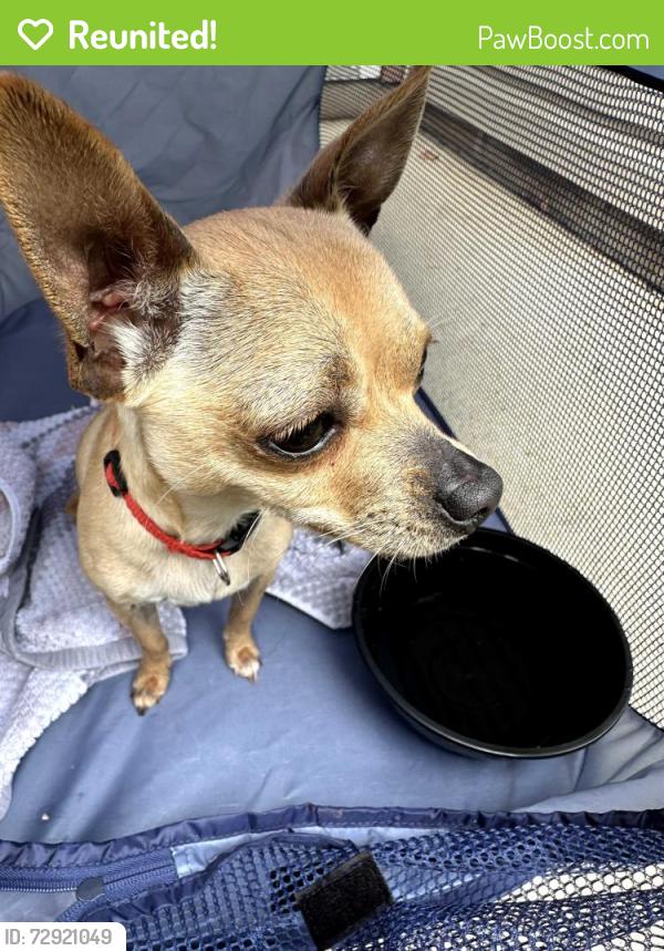 Reunited Male Dog last seen Seerley, Indianapolis, IN 46241