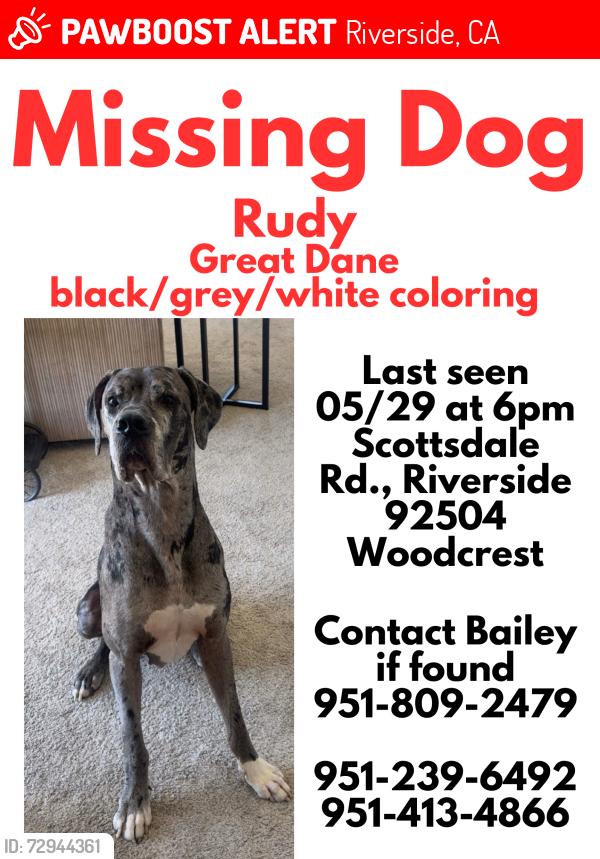 Lost Male Dog last seen Washington, Riverside, CA 92504