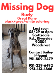 Lost Male Dog last seen Washington , Riverside, CA 92504