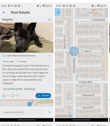 Found/Stray Female Dog last seen Near N. Barranca Ave. & E. Covina Blvd., Covina, CA 91723