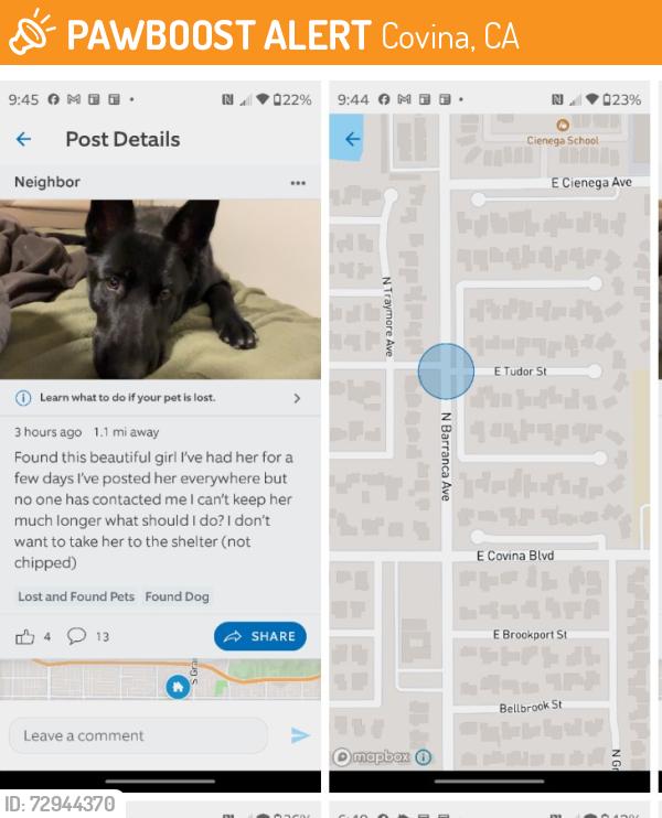 Found/Stray Female Dog last seen Near N. Barranca Ave. & E. Covina Blvd., Covina, CA 91723