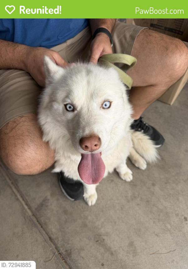 Reunited Unknown Dog last seen Ann and Cimmaron, Las Vegas, NV 89149