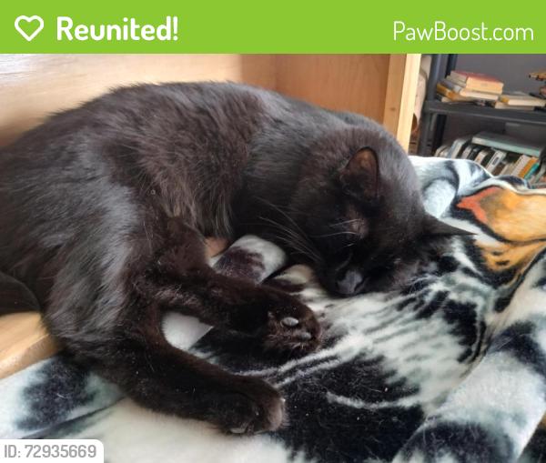 Reunited Male Cat last seen 107th ave, 116th st, Edmonton, AB T5H 3M3