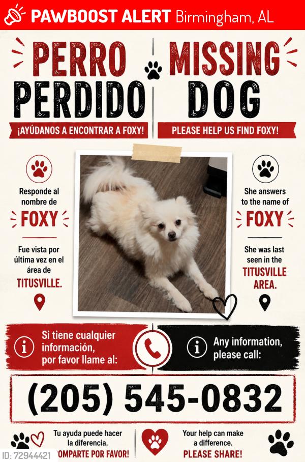 Lost Female Dog last seen Six avenue Baptist Church, Birmingham, AL 35211