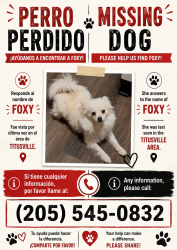 Lost Female Dog last seen Six avenue Baptist Church, Birmingham, AL 35211