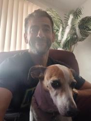 Reunited Male Dog last seen Clark park , Tempe, AZ 85281