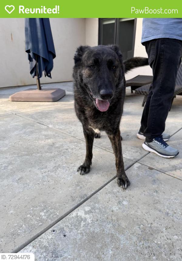 Reunited Male Dog last seen Newcastle Rd, Placer County, CA 95658
