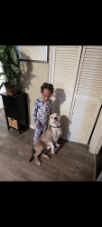 Lost Male Dog last seen 24th Ave and FlorinRd., Sacramento, CA 95822