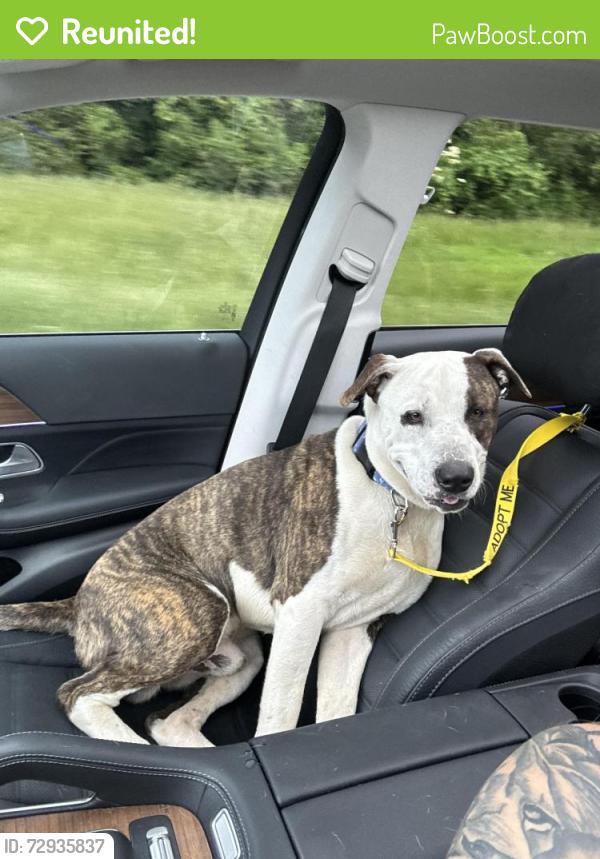 Reunited Male Dog last seen Grand Ridge Drive, Arlington, TN 38002