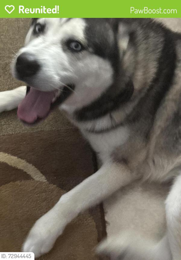 Reunited Male Dog last seen New center elementary , Sevierville, TN 37876