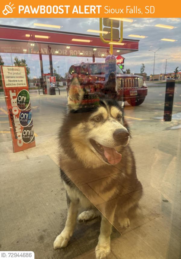 Found/Stray Unknown Dog last seen Caseys 69th and Cliff, Sioux Falls, SD 57108