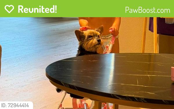 Reunited Male Dog last seen Lake Forrest drive , Friendswood, TX 77546