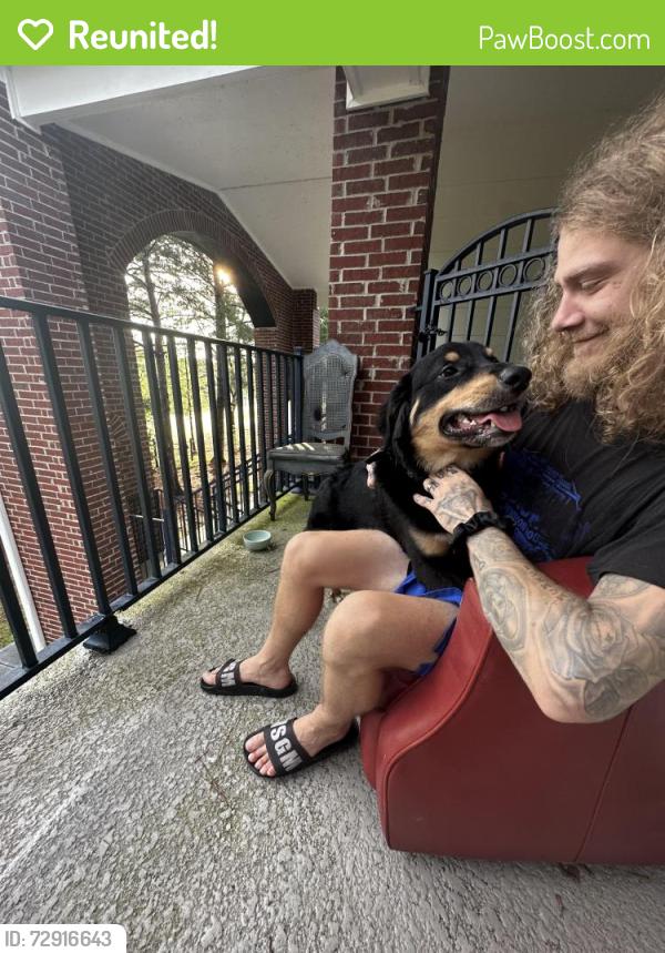 Reunited Male Dog last seen The Zoo, Gulf Shores, AL 36542