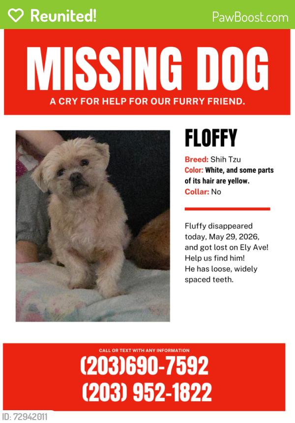 Reunited Male Dog last seen Ely ave, Norwalk, CT 06854