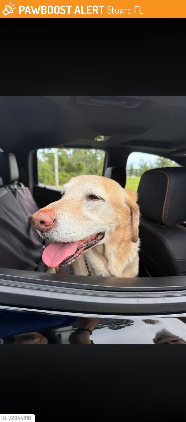 Found/Stray Male Dog last seen Banyan Bay community in Stuart , Stuart, FL 34997