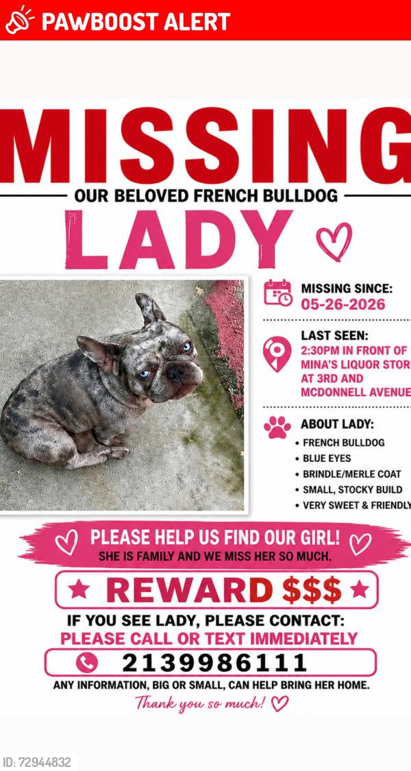 Lost Female Dog last seen Minas liquor store parking lot, East Los Angeles, CA 90022