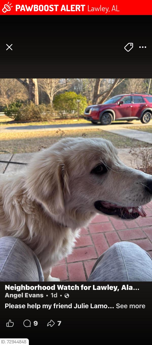Lost Male Dog last seen Highway 82 and Active Road, Lawley, AL 36793