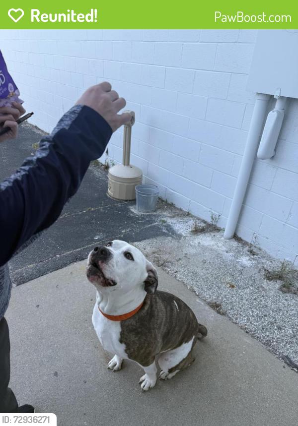 Reunited Male Dog last seen Grifols Plasma Center, Saginaw, MI 48601