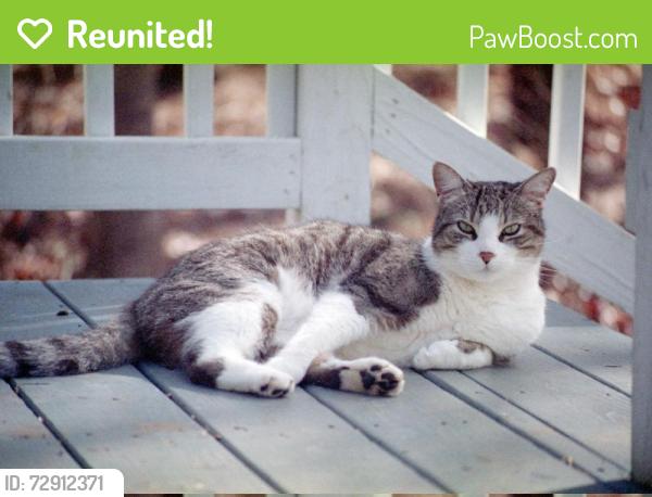 Reunited Male Cat last seen Near Bartow St, Waleska, Waleska, GA 30183