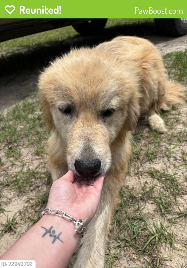 Reunited Female Dog last seen Atomic Road, Lucky Pecan: Betty's Rv, Beech Island, SC 29842