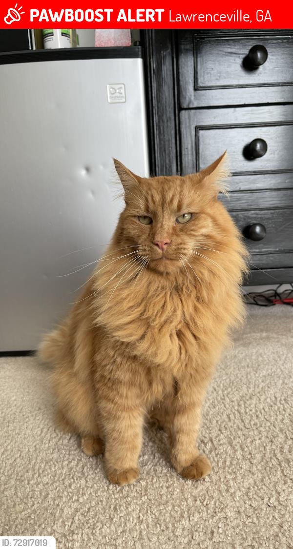 Lost Male Cat last seen Animal Care hospital, Lawrenceville, GA 30044
