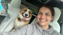 Reunited Male Dog last seen White hall dr, Arnold, MO 63010