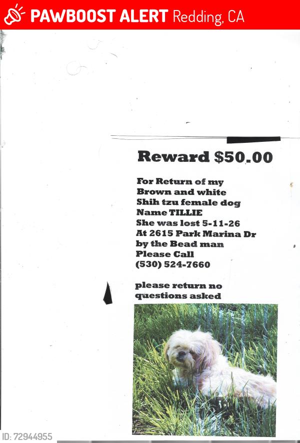Lost Female Dog last seen park marina dr reddind ca by the bead man, Redding, CA 96001