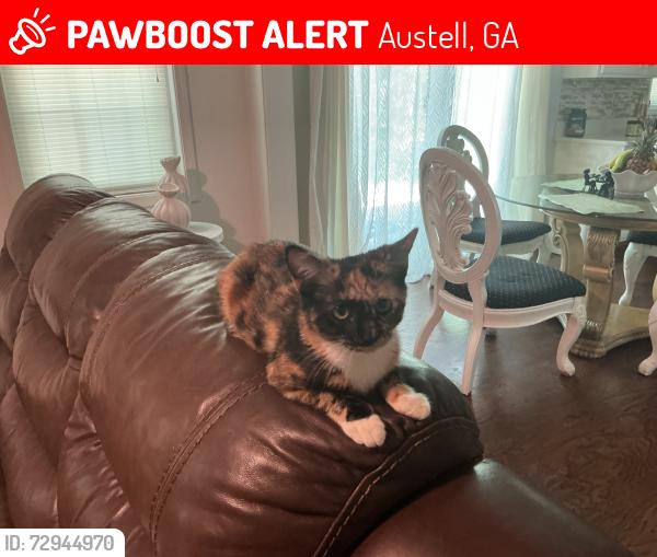 Lost Female Cat last seen Sliver creek, Austell, GA 30168
