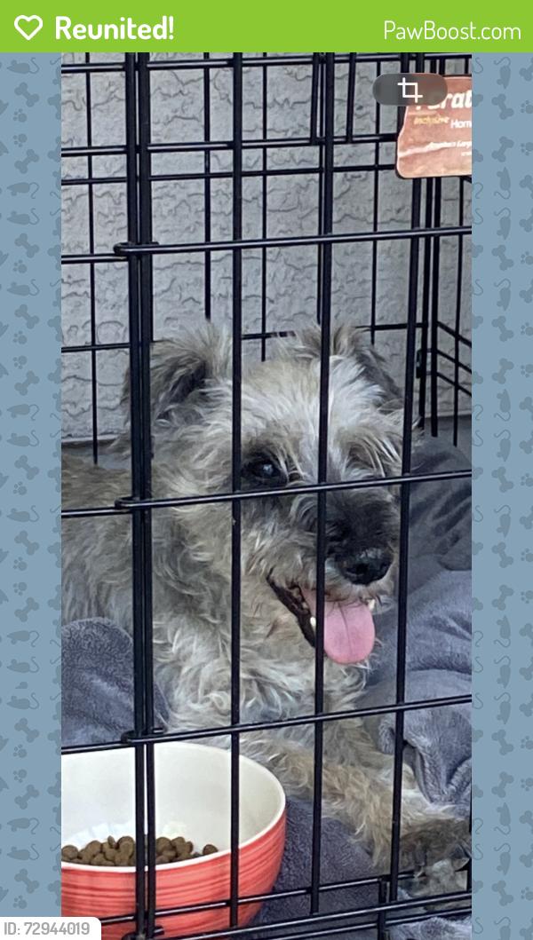 Reunited Unknown Dog last seen N Bullard Ave, Goodyear, AZ 85395