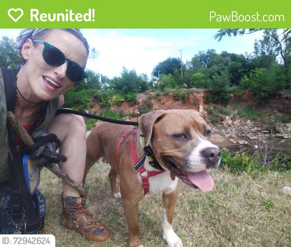 Reunited Male Dog last seen NW 101st and McKinley , Oklahoma City, OK 73114