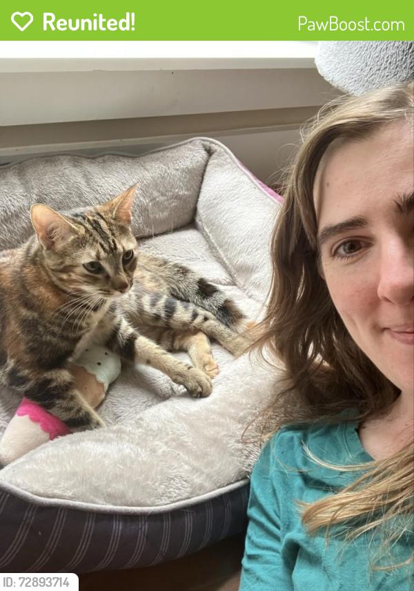 Reunited Female Cat last seen Greater Birmingham Humane Society, Birmingham, AL 35211