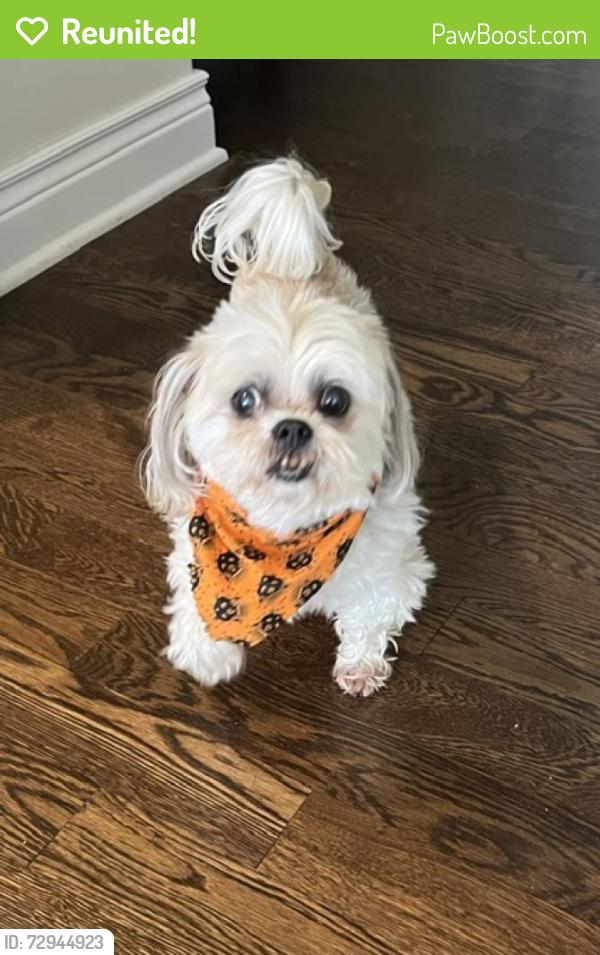 Reunited Female Dog last seen Cosby , Kansas City, MO 64151