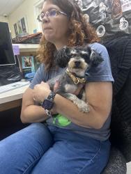Found/Stray Female Dog last seen Jonesboro Ridge apmts , Sanford, NC 27332