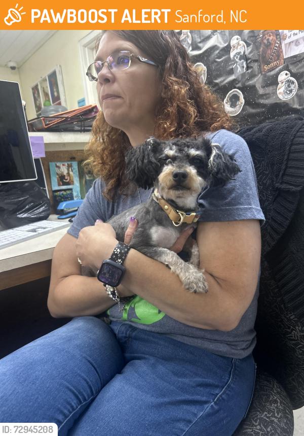 Found/Stray Female Dog last seen Jonesboro Ridge apmts , Sanford, NC 27332