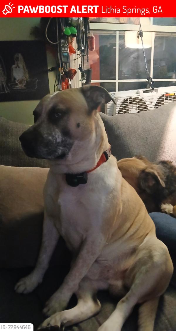 Lost Male Dog last seen Lee rd and county line, Lithia Springs, GA 30122