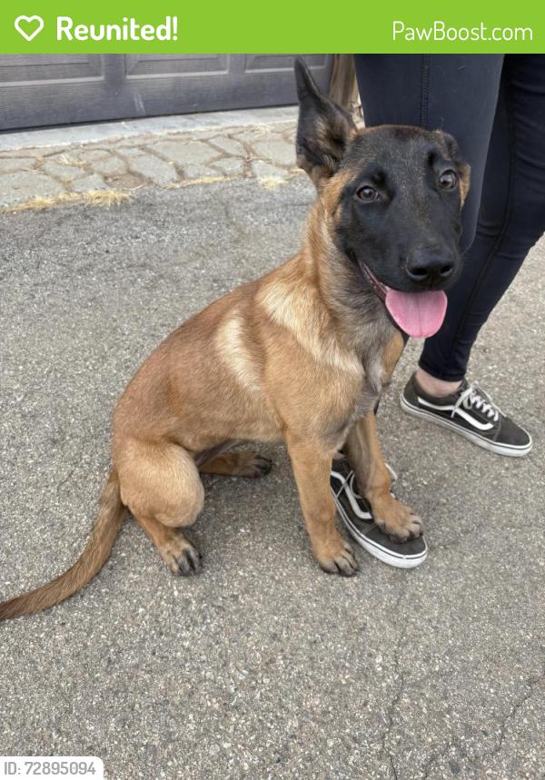 Reunited Female Dog last seen Hiebra / Sierra Valley Agua Dulce , Agua Dulce, CA 91390