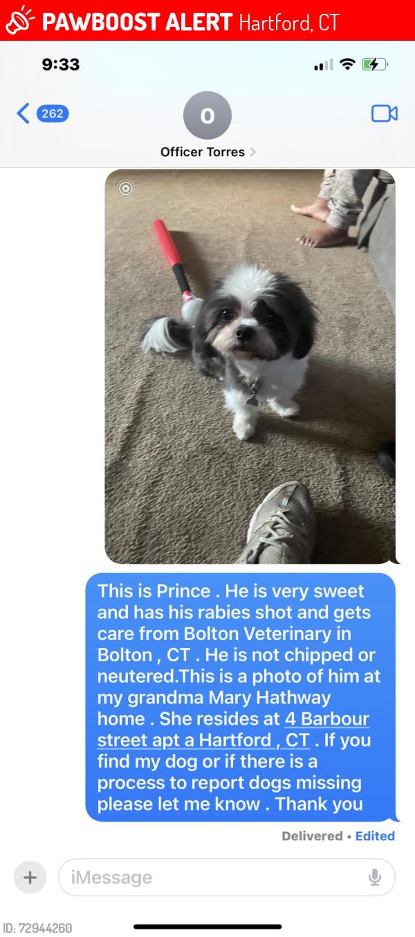 Lost Male Dog last seen 135-137 Bedford street, Hartford, CT 06112
