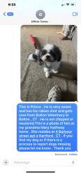 Lost Male Dog last seen 135-137 Bedford street , Hartford, CT 06112