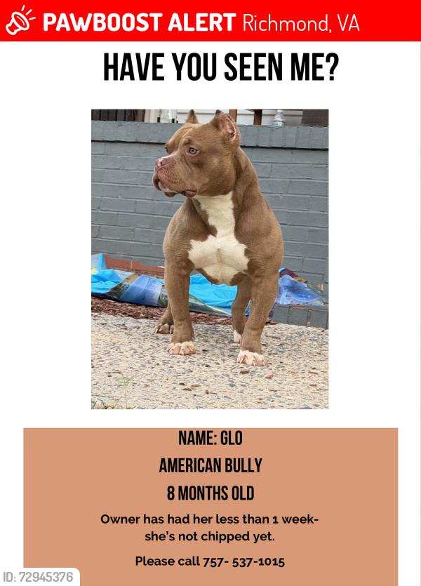 Lost Female Dog last seen Henrico high school, Richmond, VA 23227